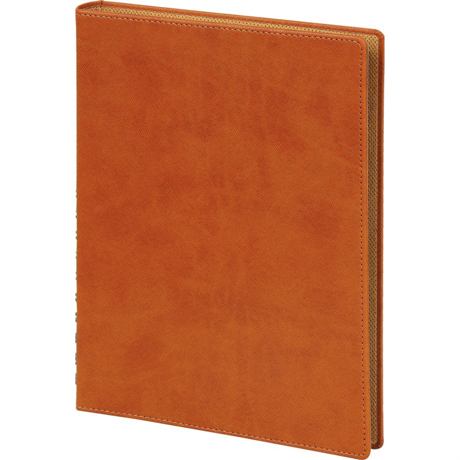 Gizli Spiralli Günlük AJanda