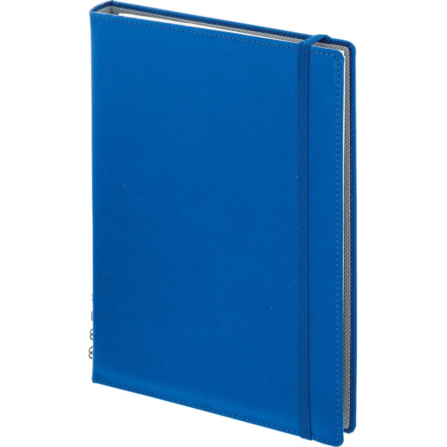 Gizli Spiralli Günlük AJanda